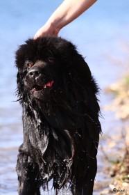 IMG_3783