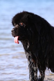 IMG_3786