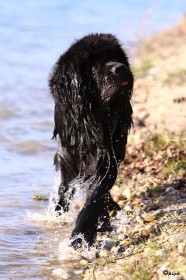 IMG_3803