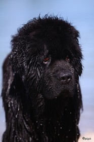 IMG_0169