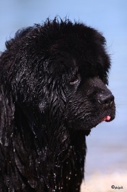 IMG_0170