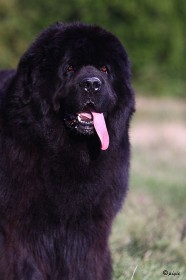 IMG_0750