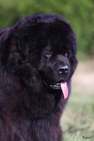 IMG_0755