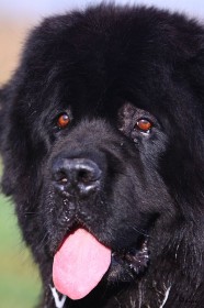 IMG_3152