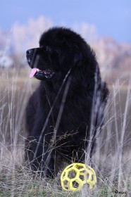 IMG_4613