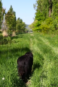 IMG_2897