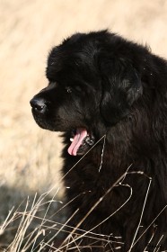 IMG_5894