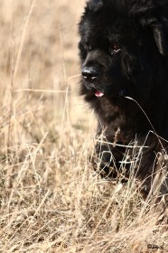 IMG_6033
