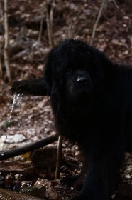IMG_5643
