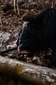 IMG_5648