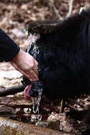 IMG_5661