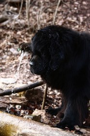 IMG_5687