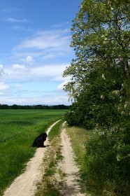 IMG_0784