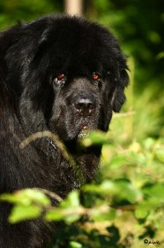 IMG_3035