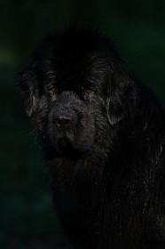IMG_5311