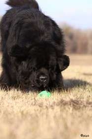 IMG_x_1256