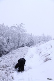 IMG_1672