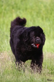 IMG_8680