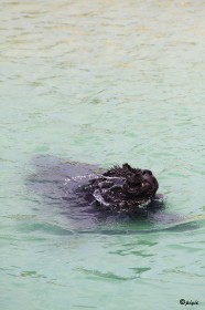 IMG_5171