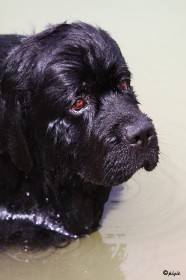 IMG_5243