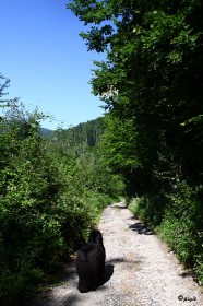 IMG_8396