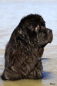 IMG_0271