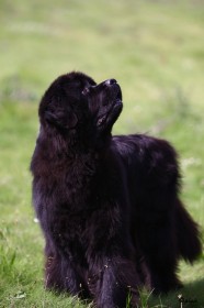 IMG_3389