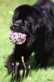IMG_3446