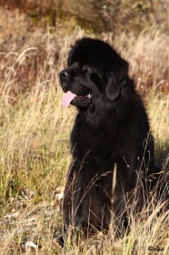 IMG_7956