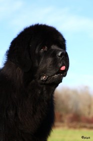 IMG_8150