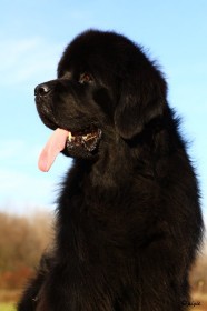 IMG_8159