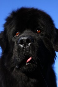 IMG_8209