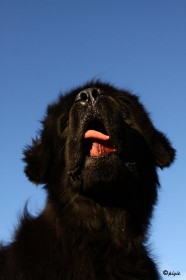 IMG_8221