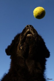 IMG_8238
