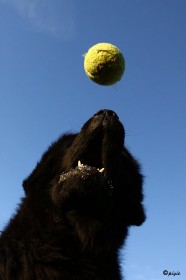 IMG_8274