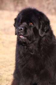 IMG_1511