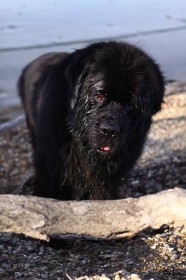 IMG_1557
