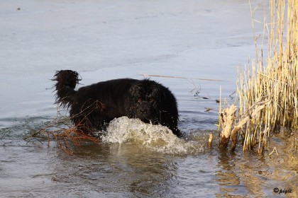 IMG_1644