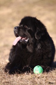 IMG_2604