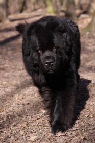 IMG_4171
