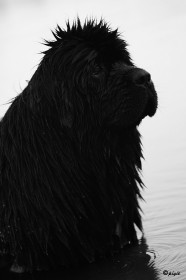IMG_4510