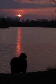 IMG_4552