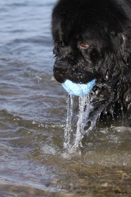 IMG_5014