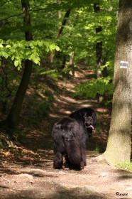 IMG_7222