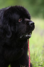 IMG_8018