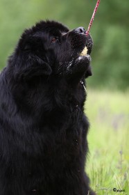 IMG_8042
