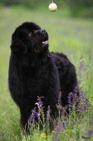 IMG_8115