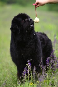 IMG_8123_1