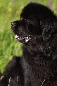 IMG_8948