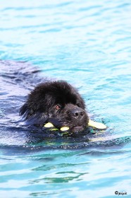 IMG_3976